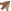 ↗